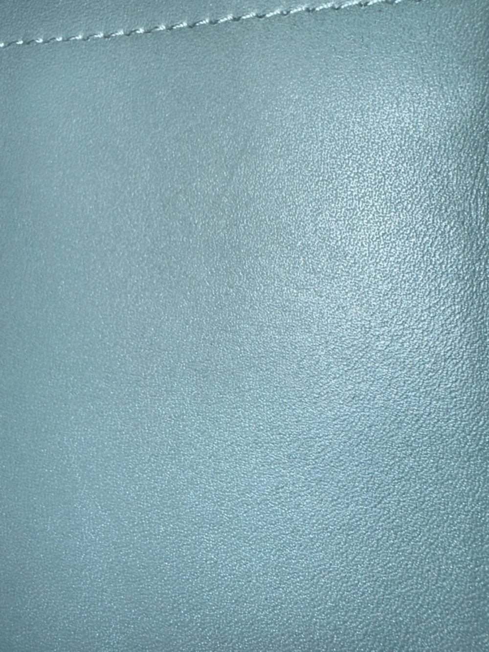 COACH Mini Cashin Tote in Sage Glovetanned Leather - Picture 9 of 11